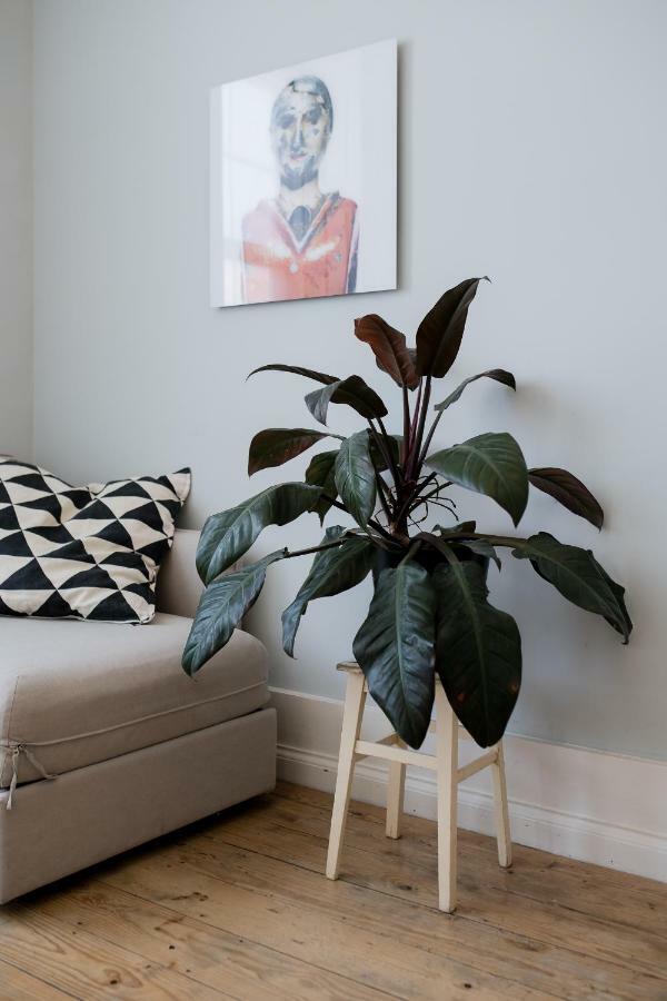 Baixa24 •P2R• Bright Apt In Vibrant Downtown OOporto Exterior foto